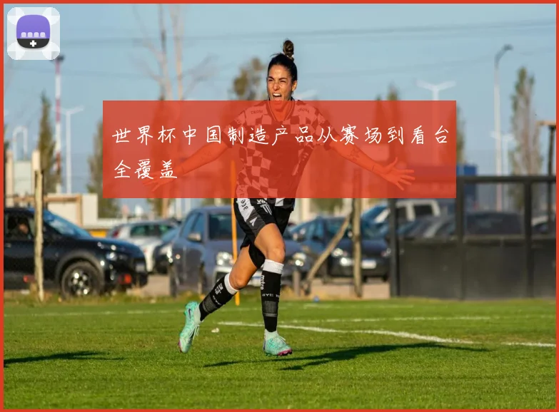 世界杯中国制造产品从赛场到看台全覆盖