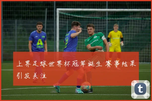 上界足球世界杯冠军诞生 赛事结果引发关注