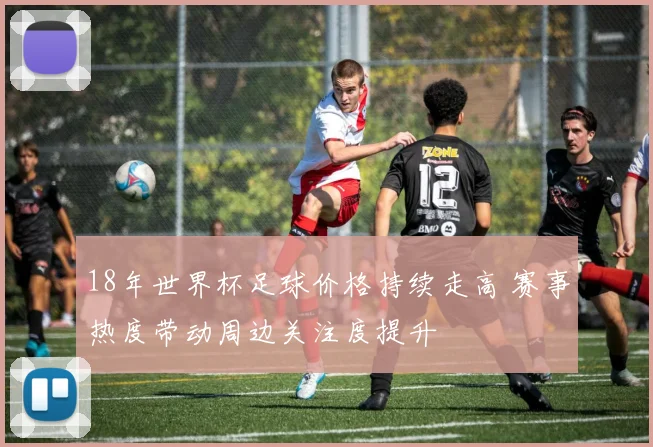 18年世界杯足球价格持续走高 赛事热度带动周边关注度提升